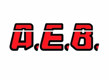ГБО AEB, встановлення ГБО AEB, блоки управління AEB